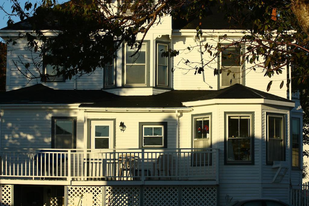 Come From Away B&B Digby Exteriör bild