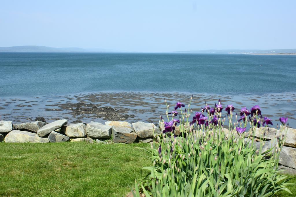 Come From Away B&B Digby Exteriör bild